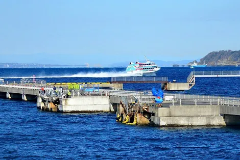 館山駅西口