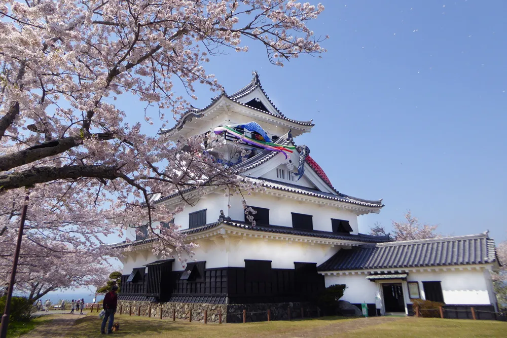 館山城の天守閣